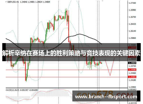 解析辛纳在赛场上的胜利策略与竞技表现的关键因素 解析辛纳在赛场上的胜利策略与竞技表现的关键因素