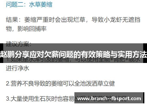 赵鹏分享应对欠薪问题的有效策略与实用方法