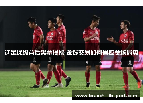 辽足保级背后黑幕揭秘 金钱交易如何操控赛场局势