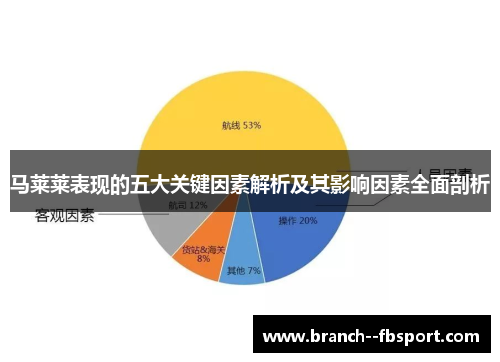 马莱莱表现的五大关键因素解析及其影响因素全面剖析 马莱莱表现的五大关键因素解析及其影响因素全面剖析
