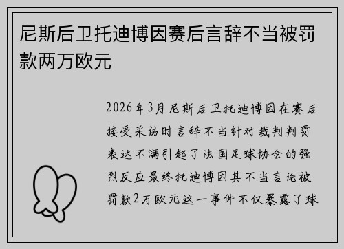 尼斯后卫托迪博因赛后言辞不当被罚款两万欧元